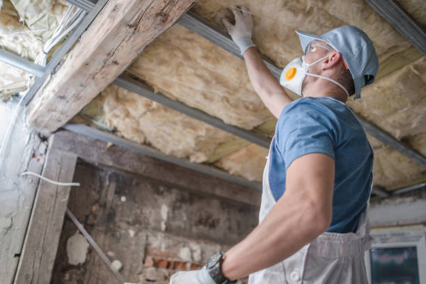 Best Spray Foam Insulation in Southern Gateway, VA