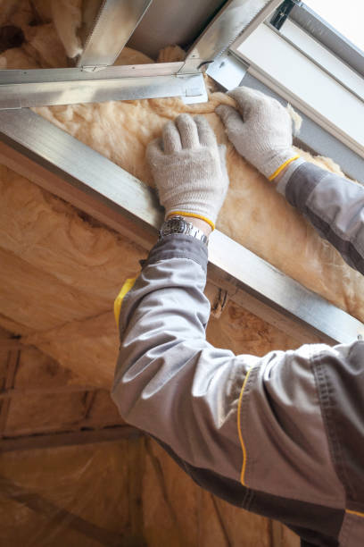 Best Eco-Friendly Insulation in Southern Gateway, VA