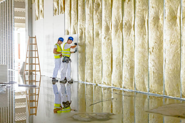 Best Blown-in Insulation in Southern Gateway, VA